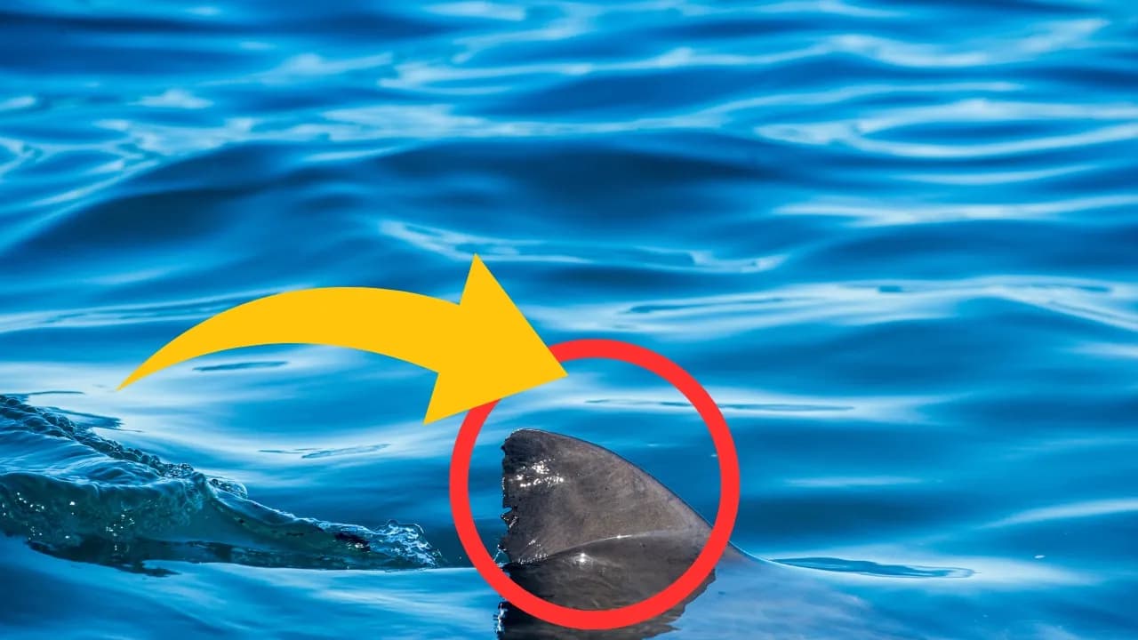 Czy na Kos jest bezpiecznie? Odkryj zagrożenia i porady dla turystów