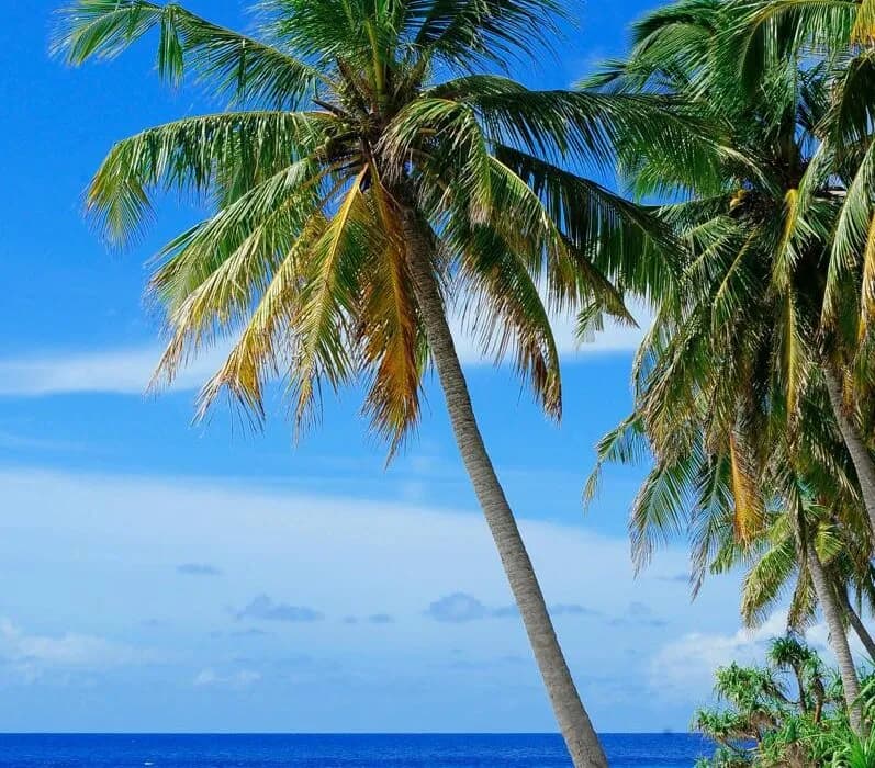 Gdzie polecieć w czerwcu egzotyka? Odkryj najlepsze destynacje